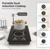 imageVBGK Double Induction Cooktop110V 2300W 2 burner induction cooktop2 burner Hot Plate Electric burner with LCD Touch Screen 9 Levels Settings Child Safety Lock ampamp Timer2 Burner induction cooktop