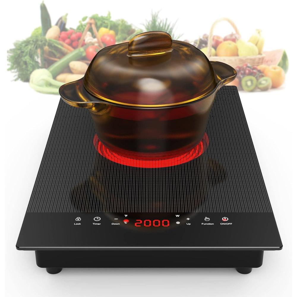 imageVBGK Electric Cooktop110V Electric Stove TopSingle Burner Electric Cooktop LED Touch Control9 Power Levels Kids Lock ampampTimerOverheat Protection2000W Portable Burner