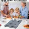 imageVBGK 2 burner Induction Hop3600W Electric hob 2 burner with Knob Control9 Power Levels Kids Lock amp TimerLED touch controldouble induction hopcountertop burners